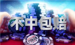    49图库app下载绿色版本苹果体验服下载V
